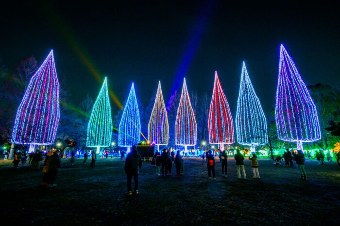 ADACHI Christmas Illuminations